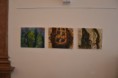 /album/fotogaleria-vystava-vo-vuc-b-bystrica/dsc-0724-jpg/