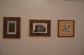 /album/fotogaleria-vystava-vo-vuc-b-bystrica/dsc-0728-jpg/